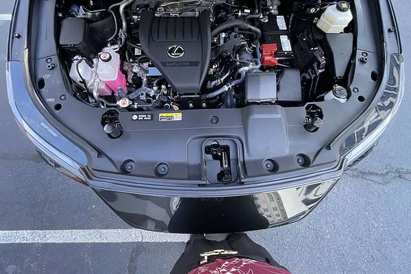 2023 Lexus RX Premium Plus