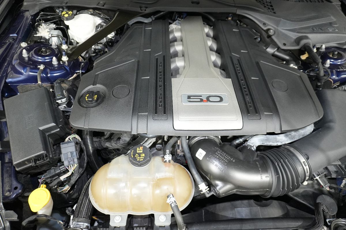 2019 Ford Mustang GT FN