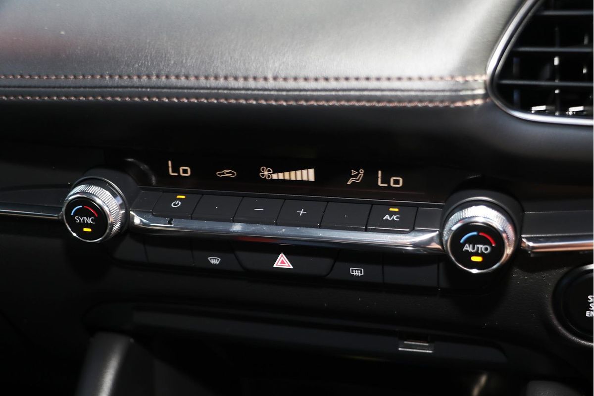 2019 Mazda 3 G20 Evolve BP Series