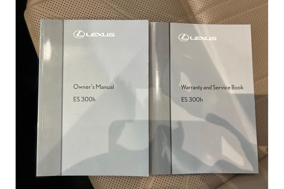 2020 Lexus ES ES300h Luxury AXZH10R