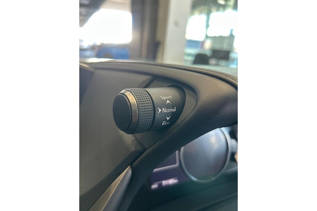 2020 Lexus ES ES300h Luxury AXZH10R