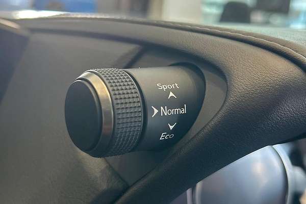 2020 Lexus ES ES300h Luxury AXZH10R