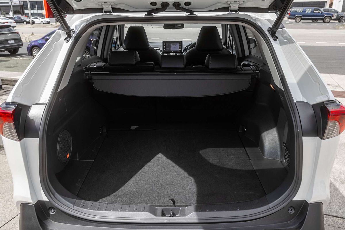 2020 Toyota RAV4 Cruiser AXAH54R