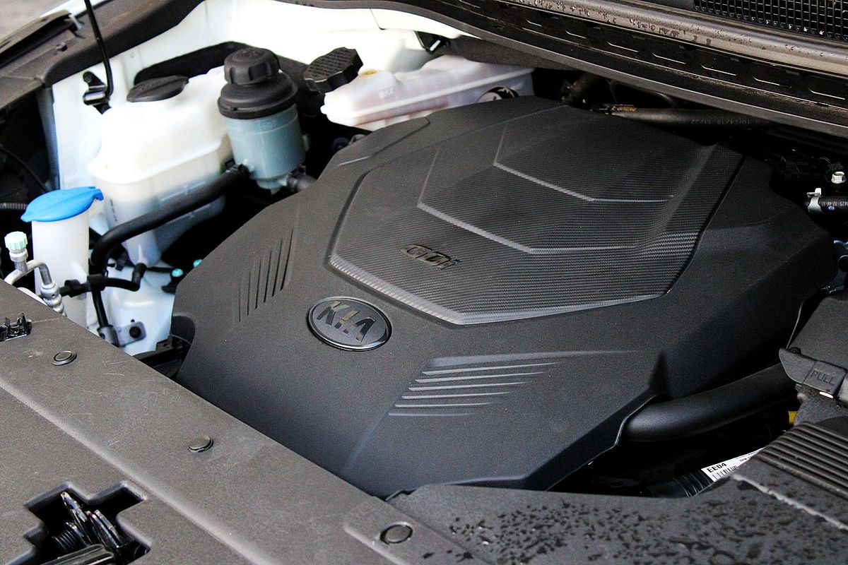 2019 Kia Carnival S YP