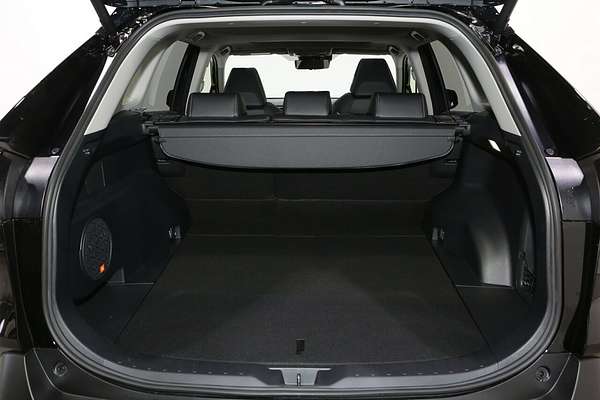 2025 Toyota RAV4 Cruiser AXAH54R