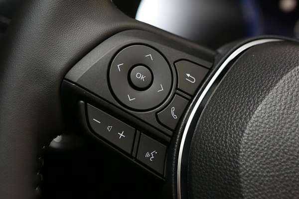 2025 Toyota RAV4 Cruiser AXAH54R