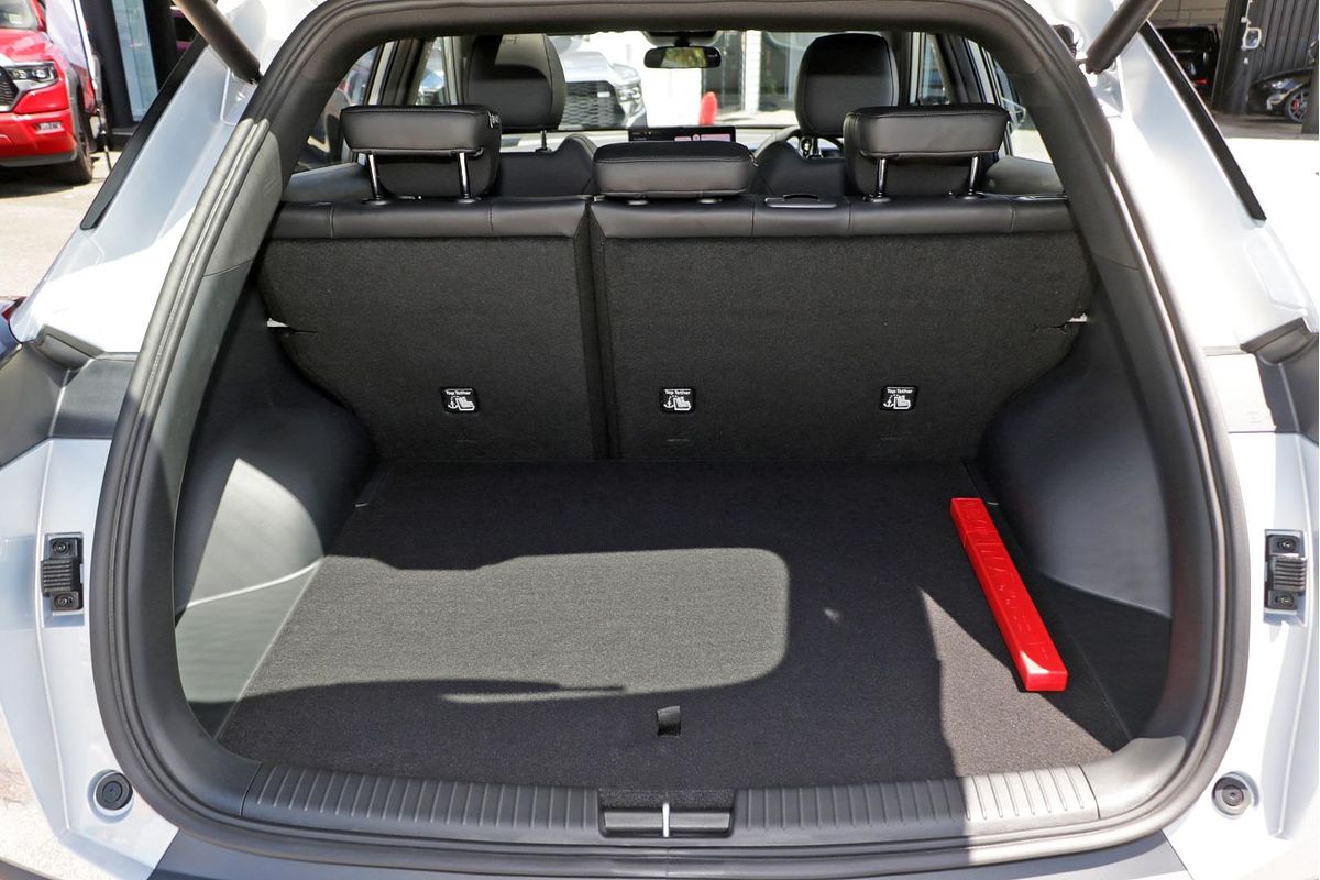 2025 GAC EMZOOM LUXURY A79-G