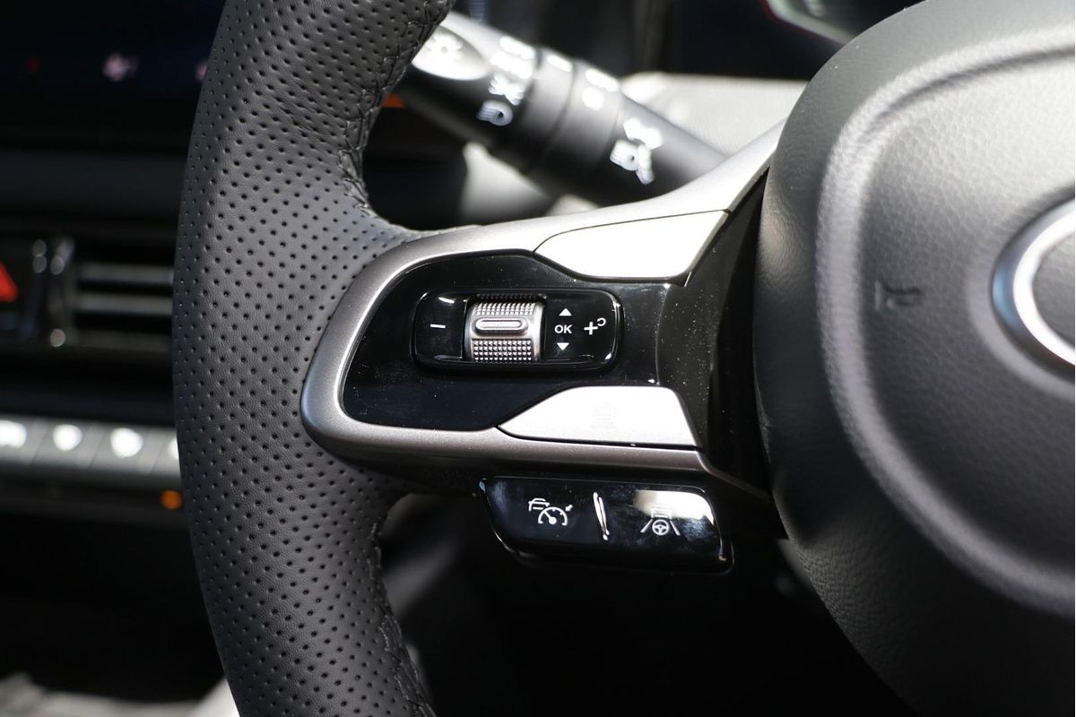 2025 GAC EMZOOM LUXURY A79-G