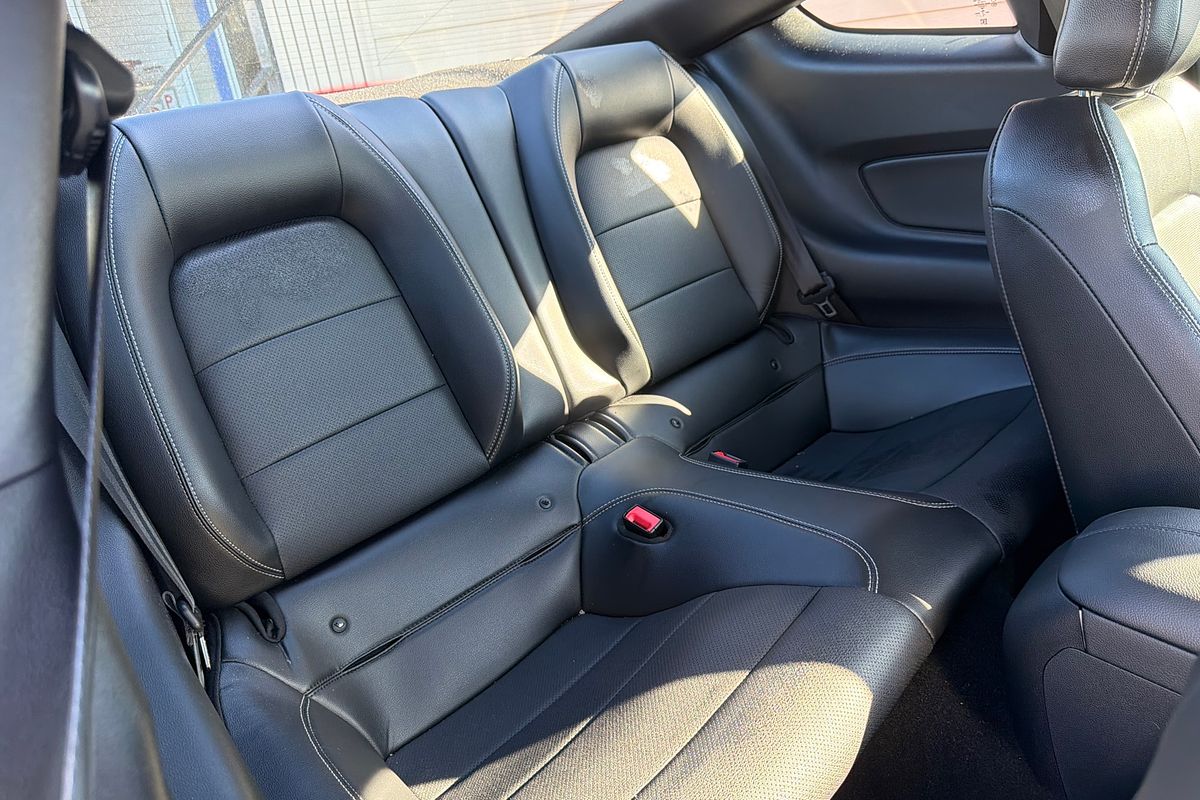 2019 Ford Mustang GT FN