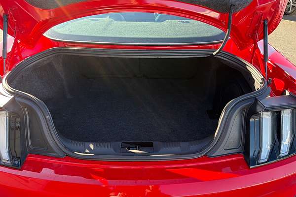 2019 Ford Mustang GT FN