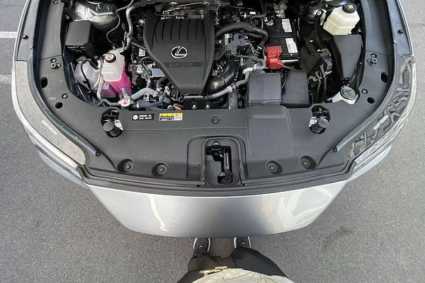 2023 Lexus RX Premium