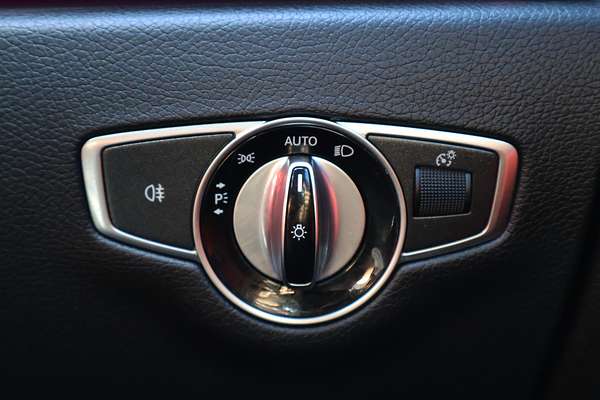 2019 Mercedes-Benz E-Class E53 AMG C238