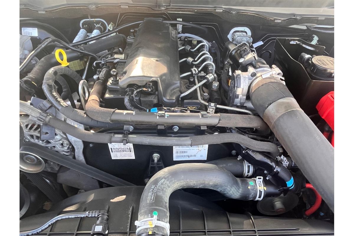 2021 Ford Ranger XLT Hi-Rider PX MkIII Rear Wheel Drive 3.2L