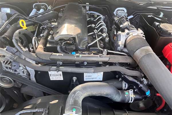 2021 Ford Ranger XLT Hi-Rider PX MkIII Rear Wheel Drive 3.2L