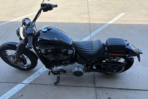 2025 Harley-Davidson Street Bob 117 (FXBB) Softail