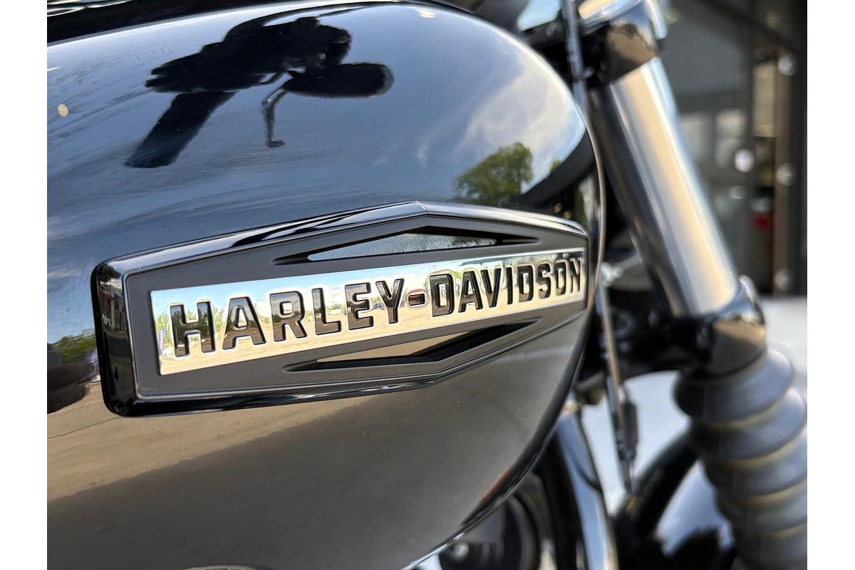 2025 Harley-Davidson Street Bob 117 (FXBB) Softail