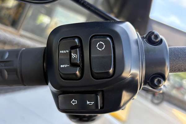 2025 Harley-Davidson Street Bob 117 (FXBB) Softail