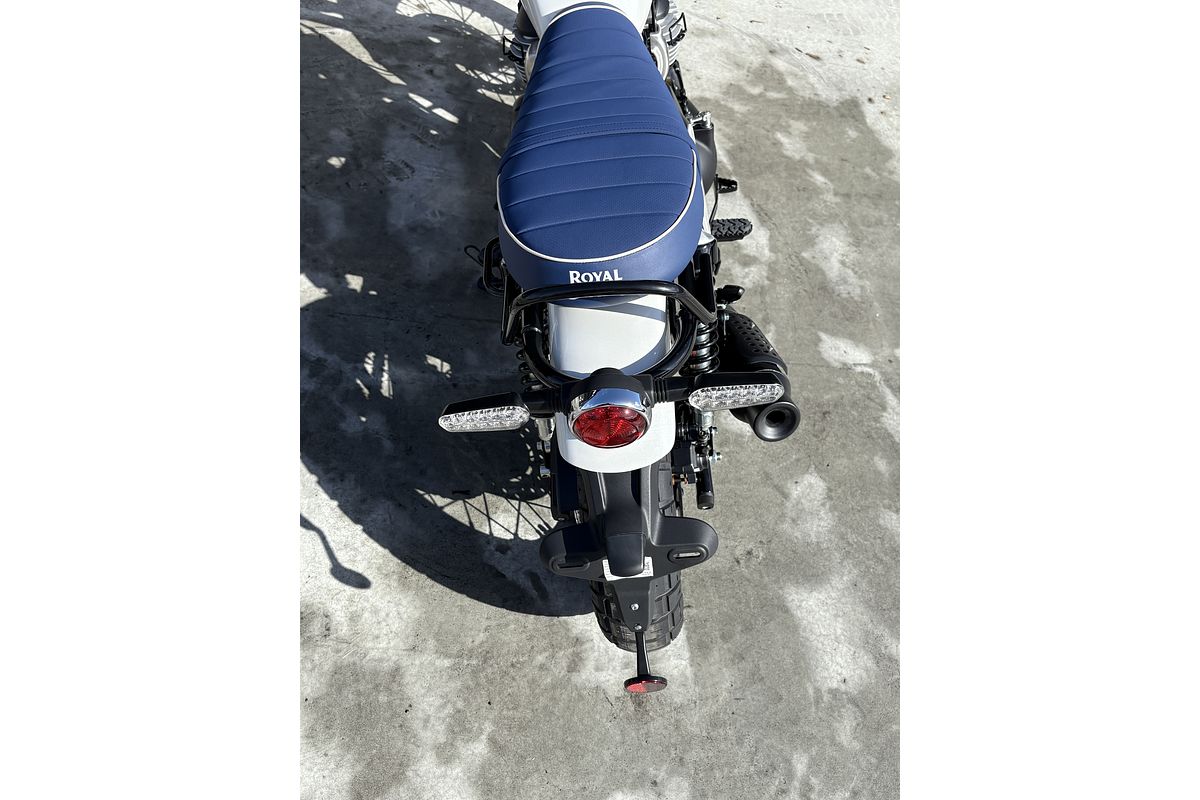 2025 Royal Enfield Bear