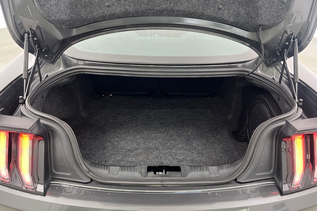 2019 Ford Mustang GT FN