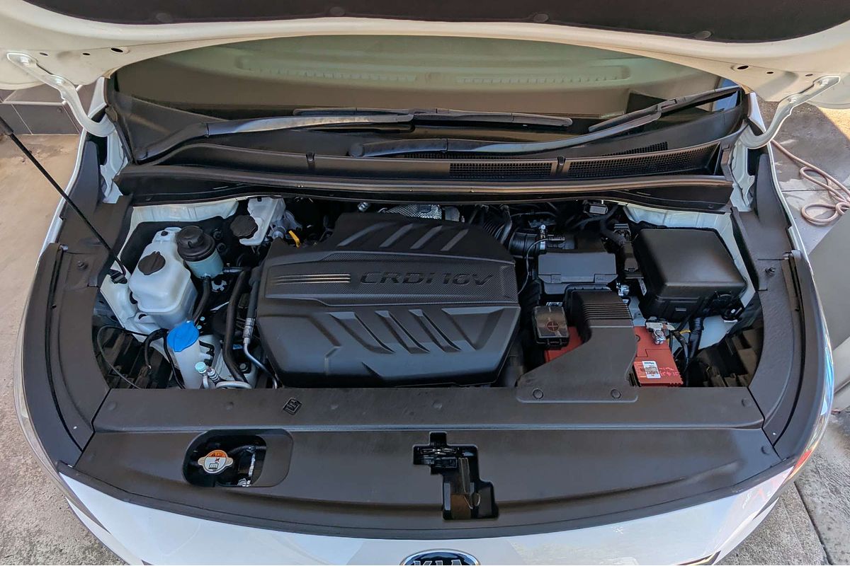 2019 Kia Carnival Platinum YP