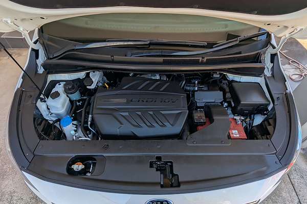 2019 Kia Carnival Platinum YP