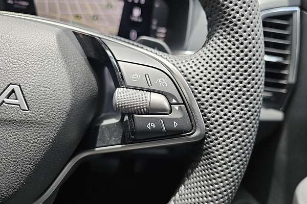 2025 SKODA Karoq 110TSI 130 Years Edition NU