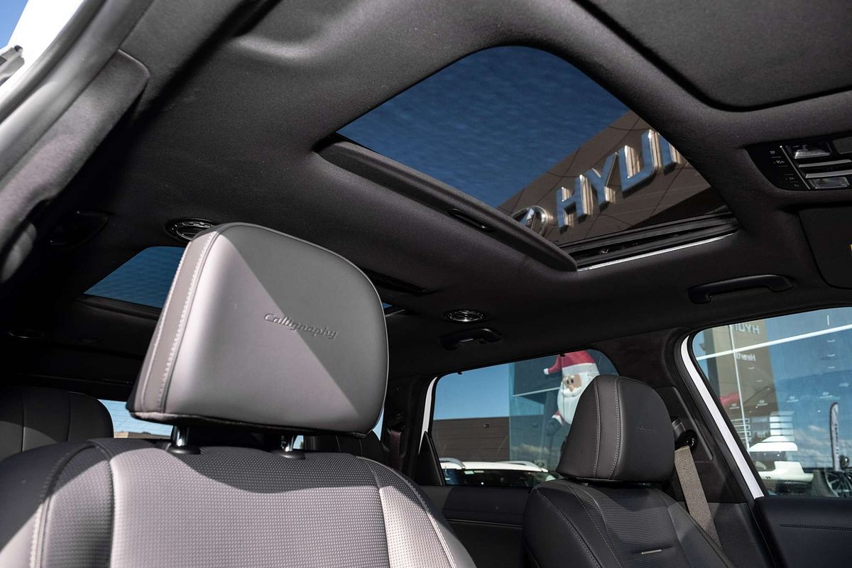 2025 Hyundai Palisade Calligraphy LX3.V1