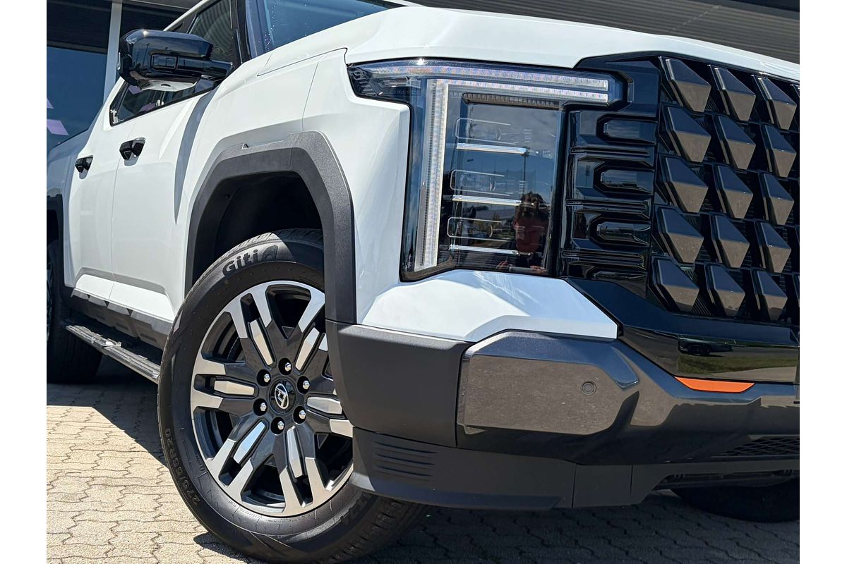 2025 LDV Terron 9 Evolve EKK1C 4X4