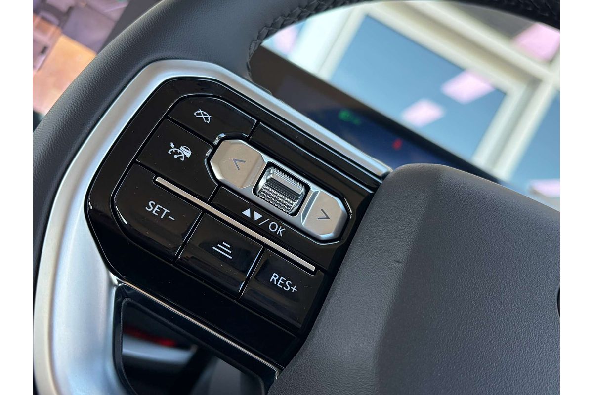 2025 LDV Terron 9 Evolve EKK1C 4X4