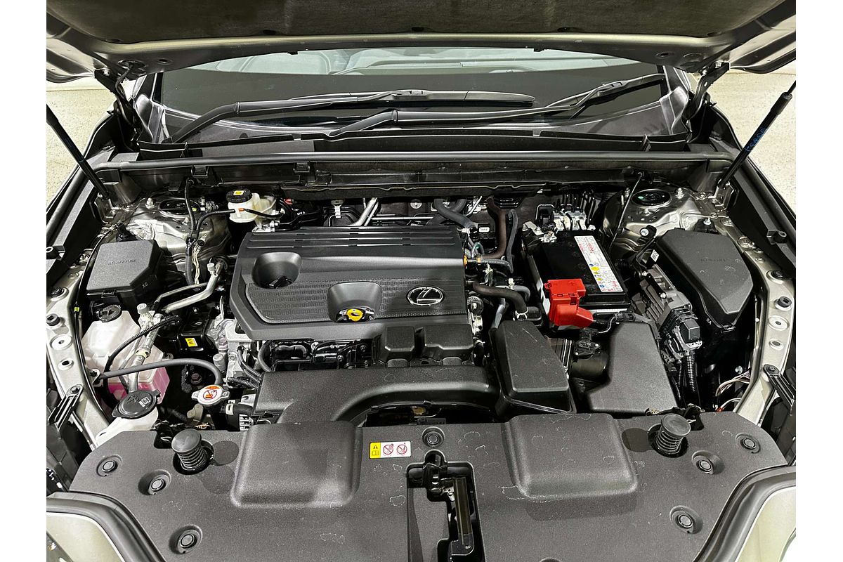 2023 Lexus NX NX250 AAZA20R