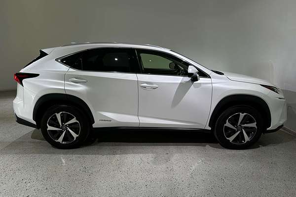 2021 Lexus NX NX300h Sports Luxury AYZ15R
