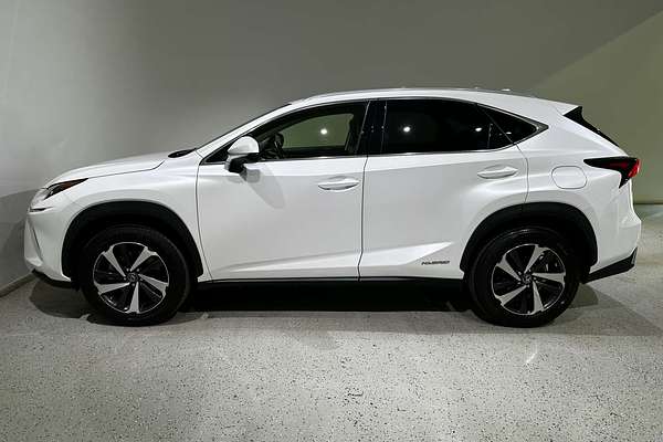 2021 Lexus NX NX300h Sports Luxury AYZ15R