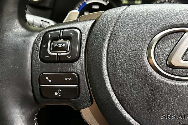 2021 Lexus NX NX300h Sports Luxury AYZ15R