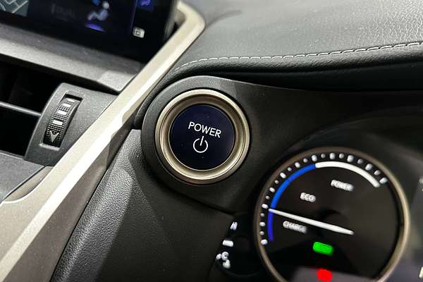 2021 Lexus NX NX300h Sports Luxury AYZ15R