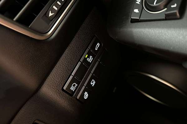 2021 Lexus NX NX300h Sports Luxury AYZ15R