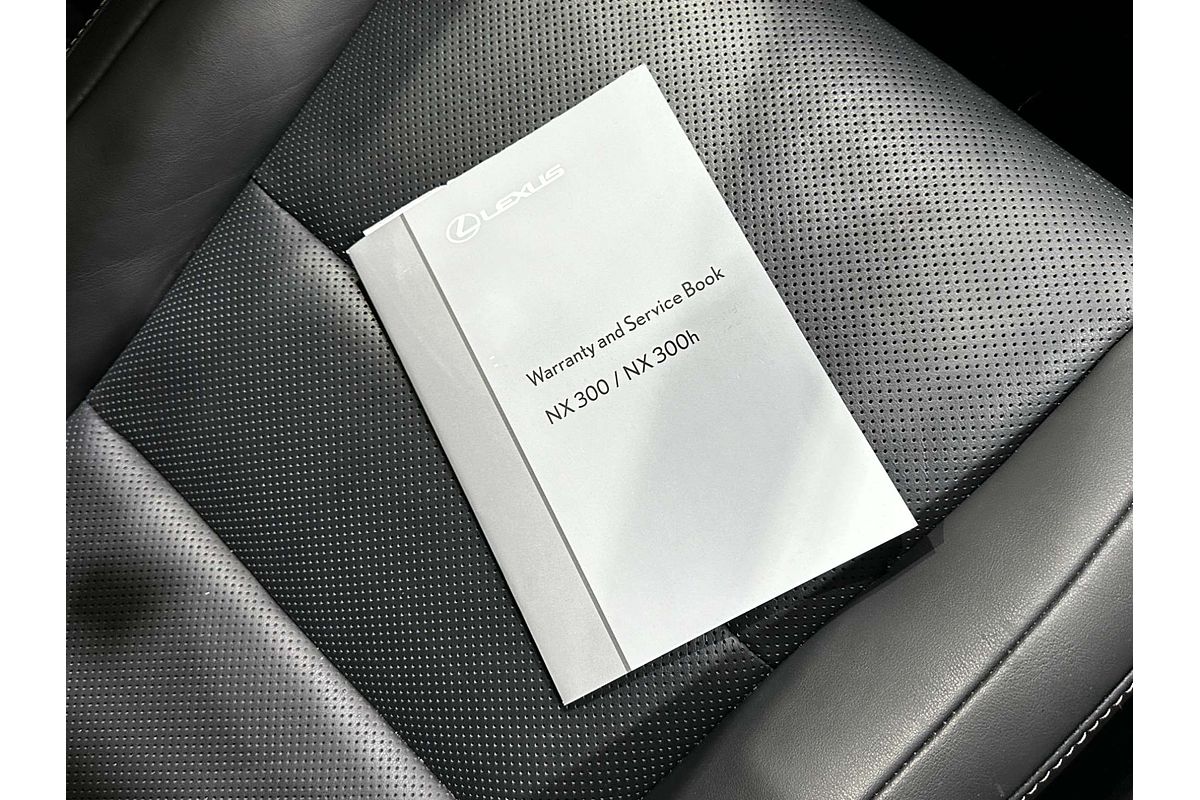 2021 Lexus NX NX300h Sports Luxury AYZ15R