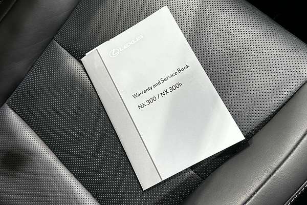 2021 Lexus NX NX300h Sports Luxury AYZ15R