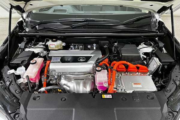 2021 Lexus NX NX300h Sports Luxury AYZ15R