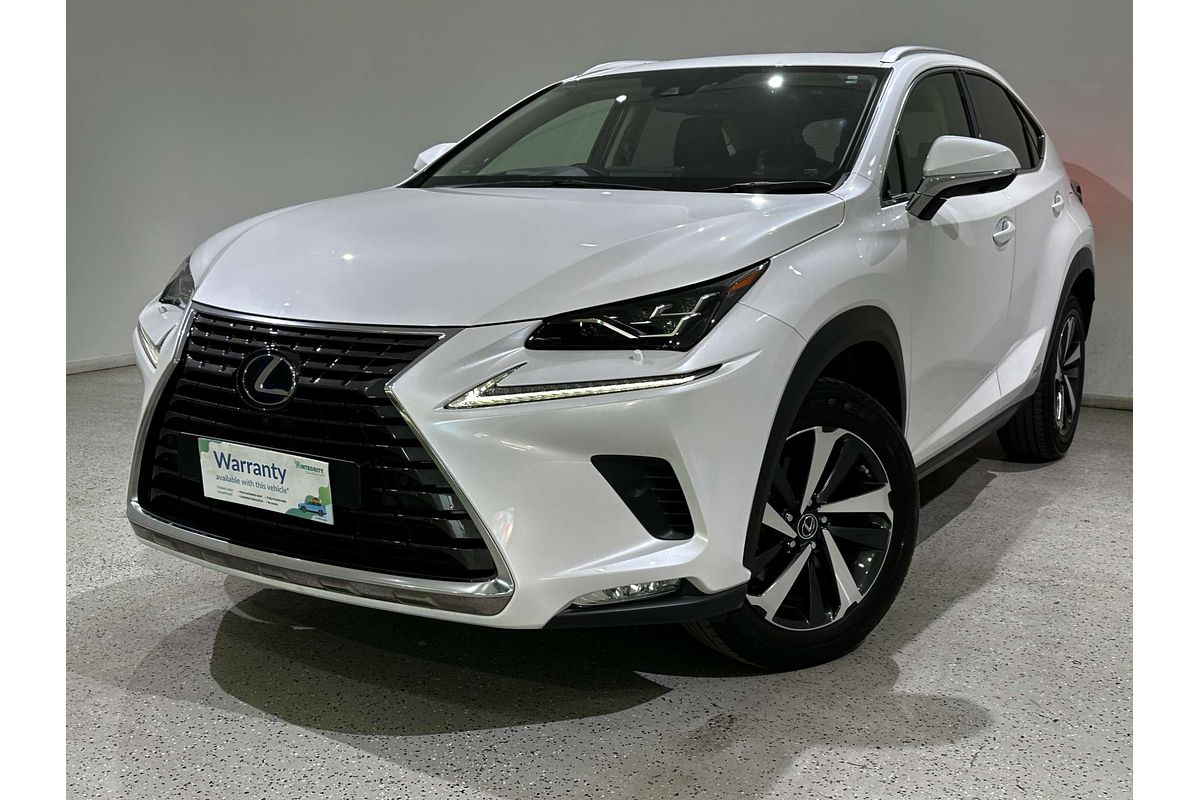 2021 Lexus NX NX300h Sports Luxury AYZ15R