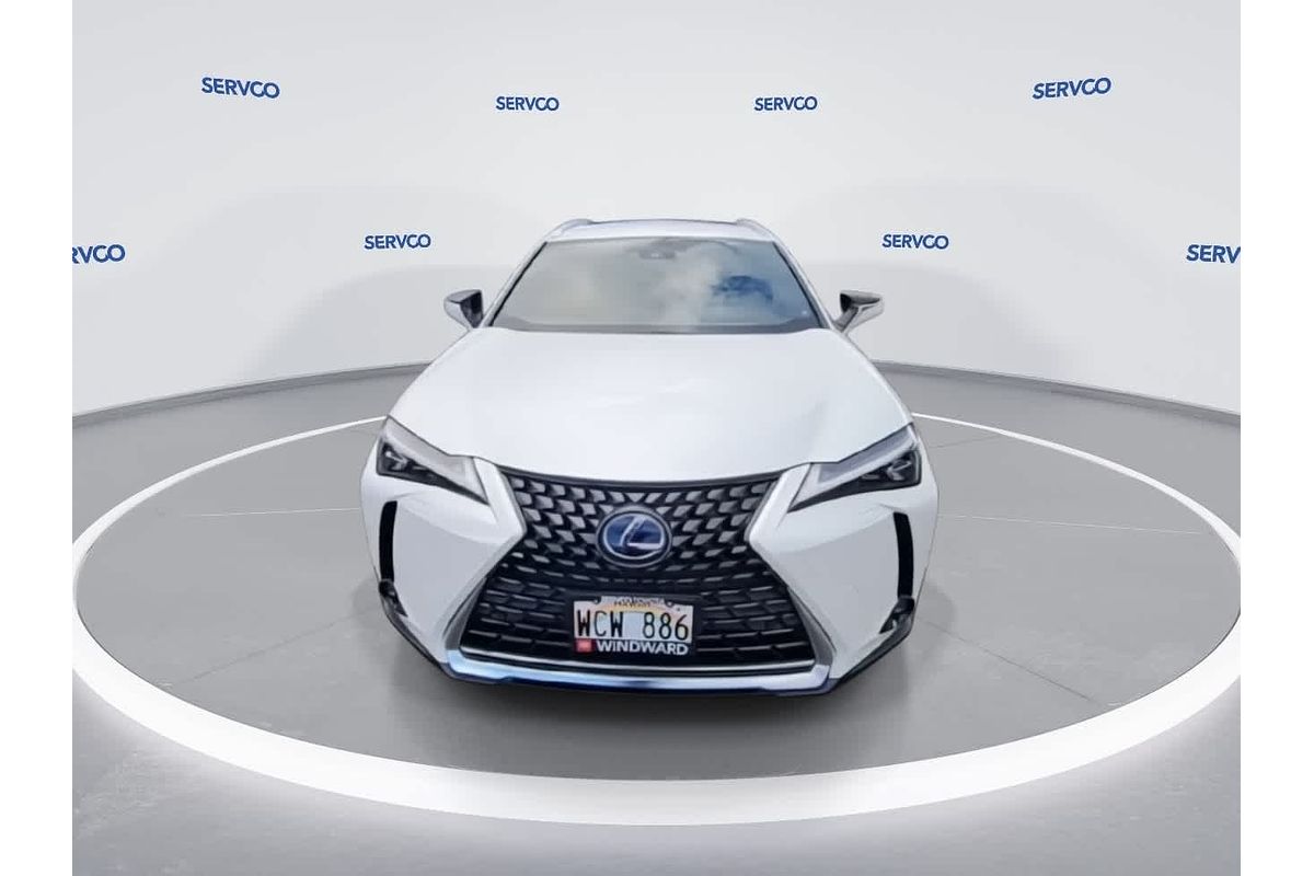 2021 Lexus UX Luxury