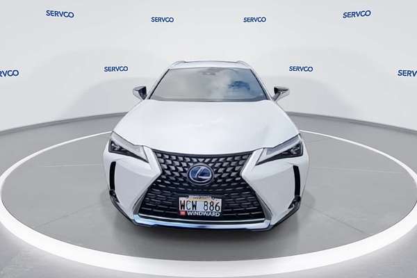 2021 Lexus UX Luxury