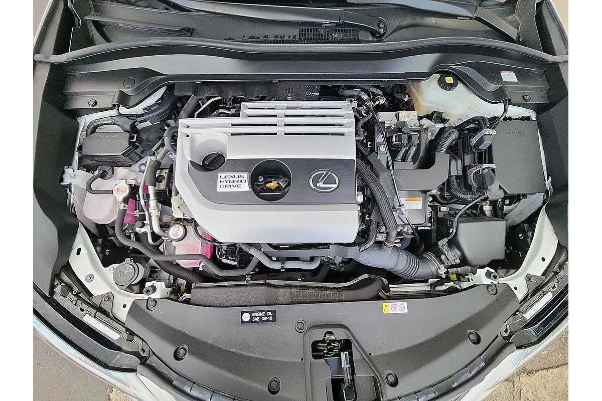 2021 Lexus UX Luxury