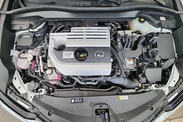 2021 Lexus UX Luxury