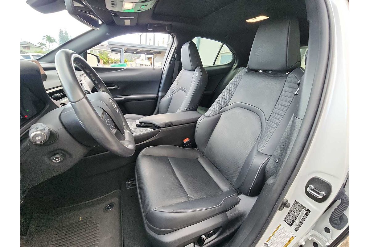 2021 Lexus UX Luxury