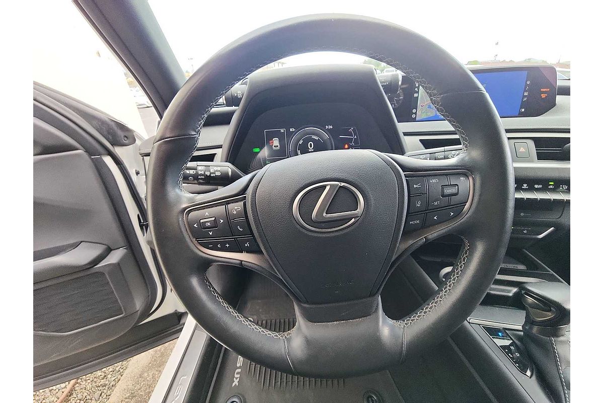 2021 Lexus UX Luxury