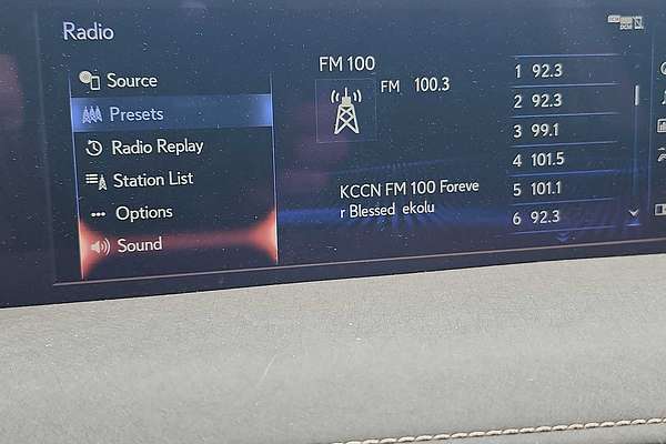 2021 Lexus UX Luxury