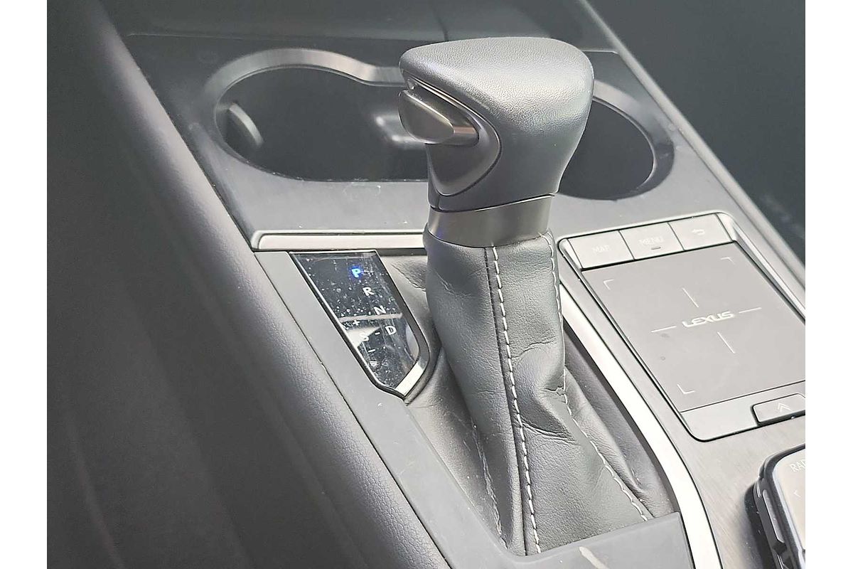 2021 Lexus UX Luxury