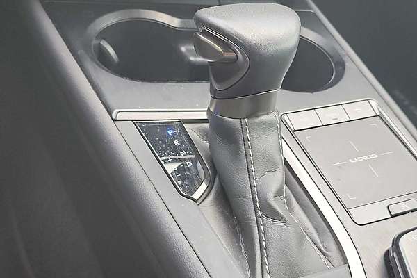 2021 Lexus UX Luxury