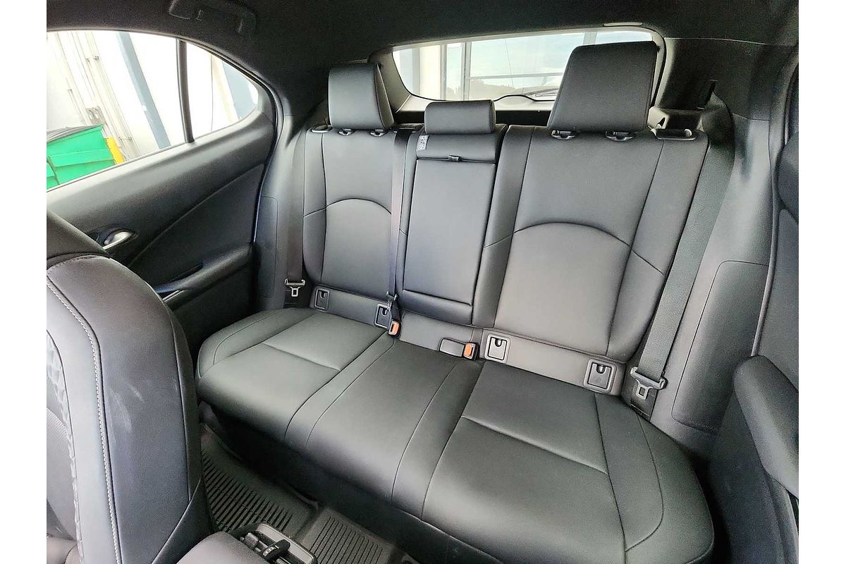 2021 Lexus UX Luxury