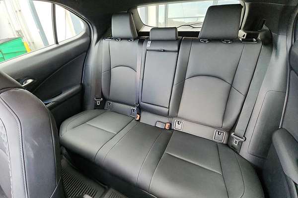 2021 Lexus UX Luxury